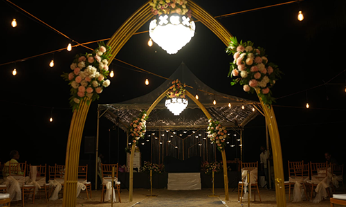  Pathway Stands & Carpet