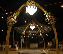 Pathway Stands & Carpet