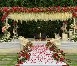 Stage
